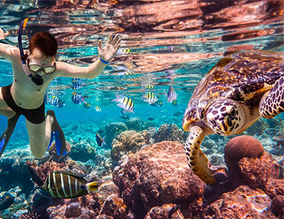 Snorkeling on Guana Cay