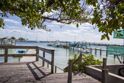 The Fig Tree on The Front Street on Guana Cay